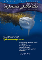 شماره دو