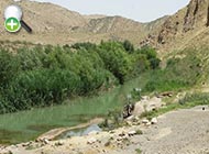 ماهی خیاطه هولسیک