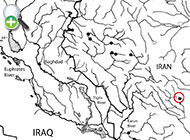 شاه‌کولی زاگرس