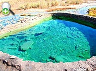 گونه گورماهی بدون پولک ایرانی