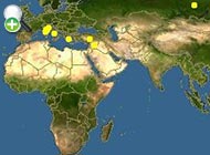 سس‌ماهی ایتالیایی