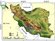 سیاه‌ماهی بیرونی