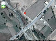 سیاه‌ماهی بیرونی