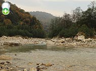 سیاه‌ماهی رازی