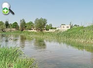 ماهی کپور پوزه‌دار اسماعیلی