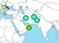 ماهی شیدار 