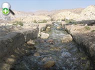 ماهی گل‌خورک مند
