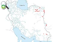 پراکنش ماهی انجرک 