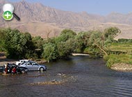 سگ‌ماهی سیروان