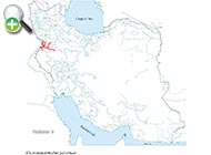 سگ‌ماهی پروین