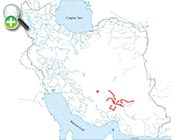 سگ‌ماهی عبدلی