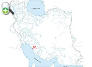 سگ‌ماهی نیلسن