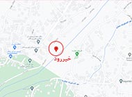 گاوماهی پاتیمار