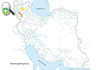 پراکنش ماهی کپور کفزی پارسی، نقاط قرمز