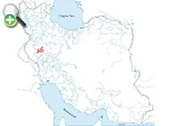 سگ‌ماهی کرمانشاه