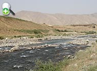عروس‌ماهی میان‌رودان
