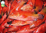 سمن آجری
