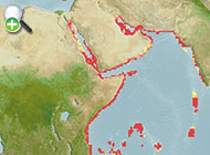دامسل تیره