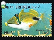 فریباماهی پیکاسو