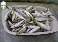 ماهی گمگام